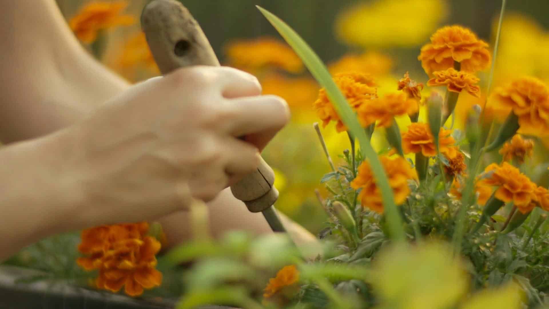 Video slider portfolio LEAP1